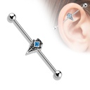 Barbell Industrial con Flecha