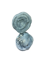 Calcedonia Cristalizada en Bruto (Pieza)